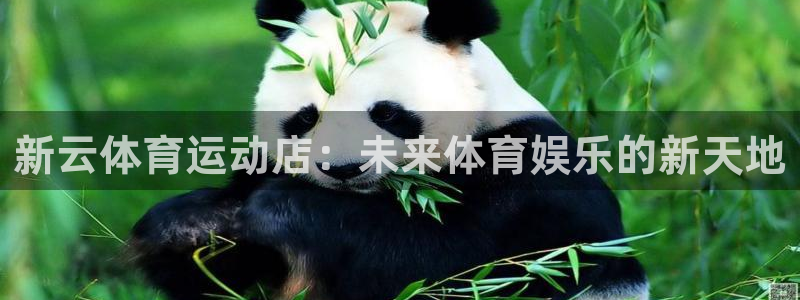 新云体育运动店：未来体育娱乐的新天地