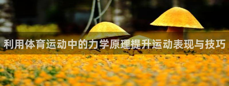 利用体育运动中的力学原理提升运动表现与技巧